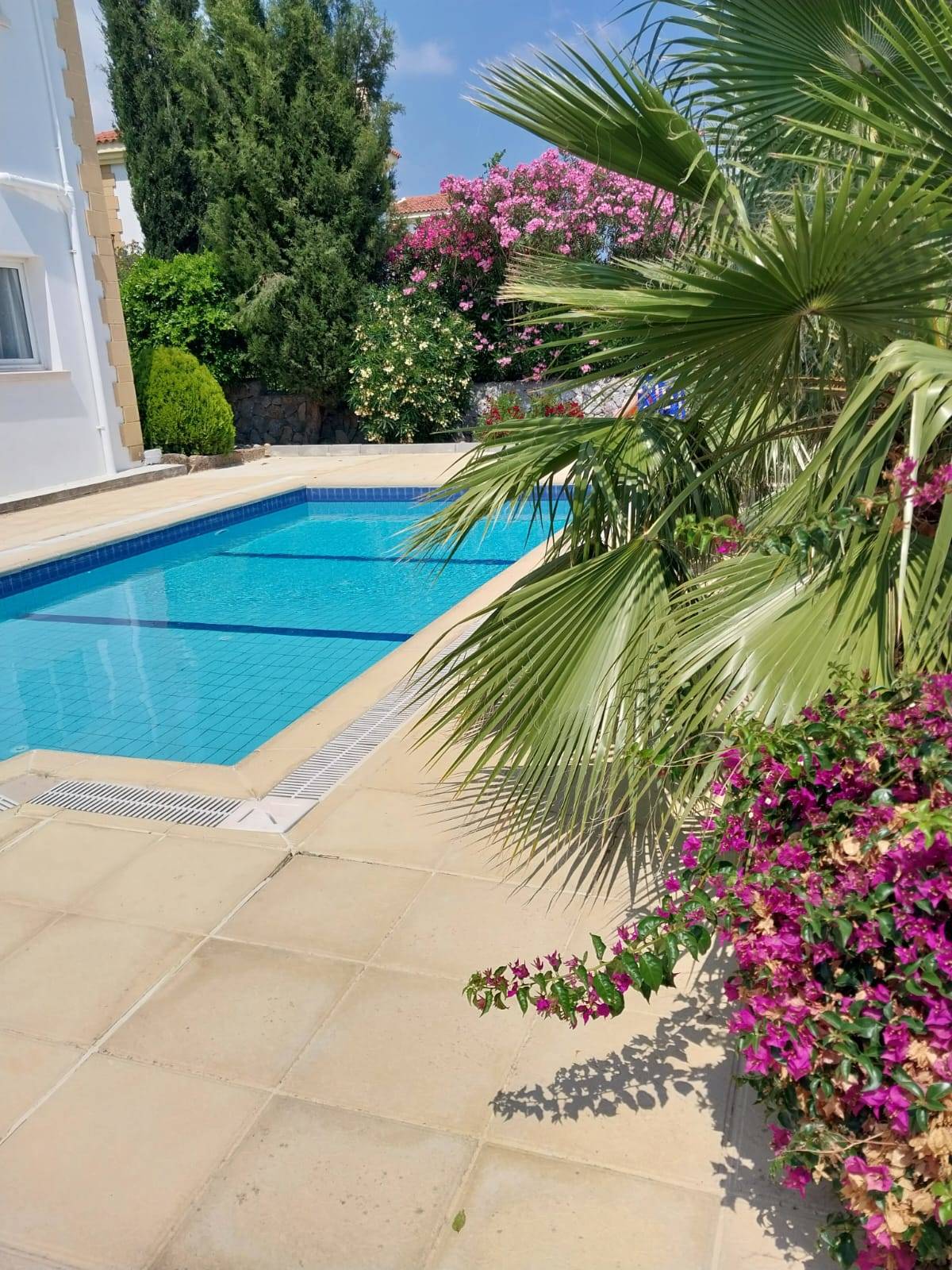 rent a property in Northern Cyprus